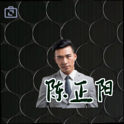 陈正阳